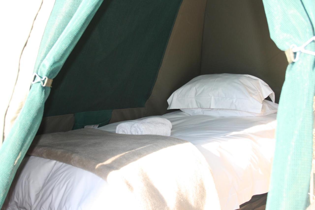 Out Of Nature Country Lodge Windhoek Esterno foto
