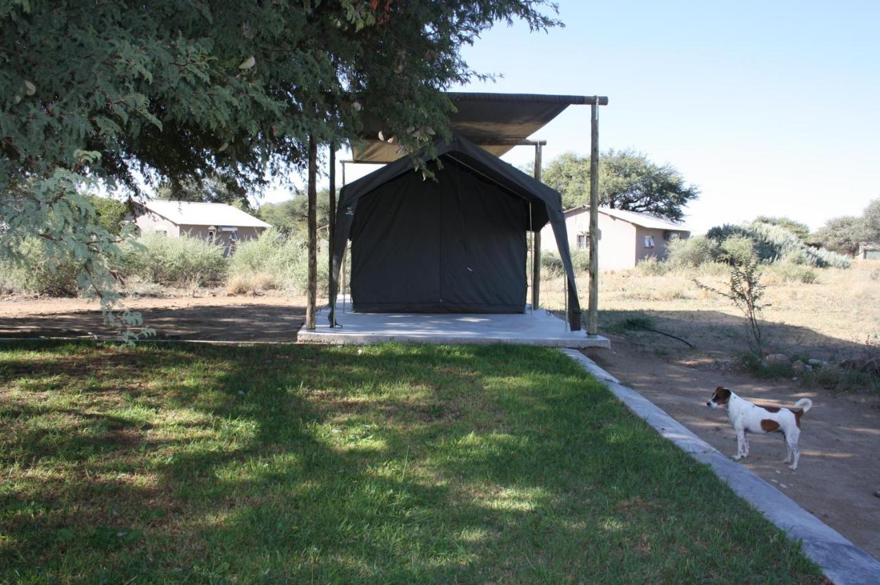 Out Of Nature Country Lodge Windhoek Esterno foto