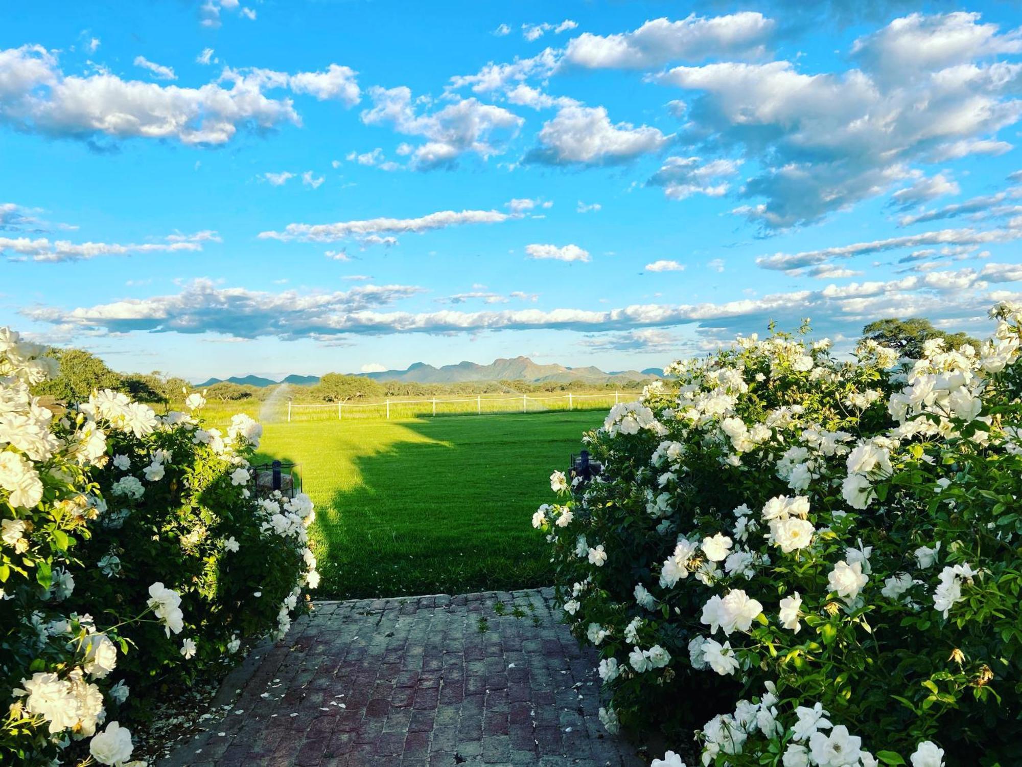 Out Of Nature Country Lodge Windhoek Esterno foto