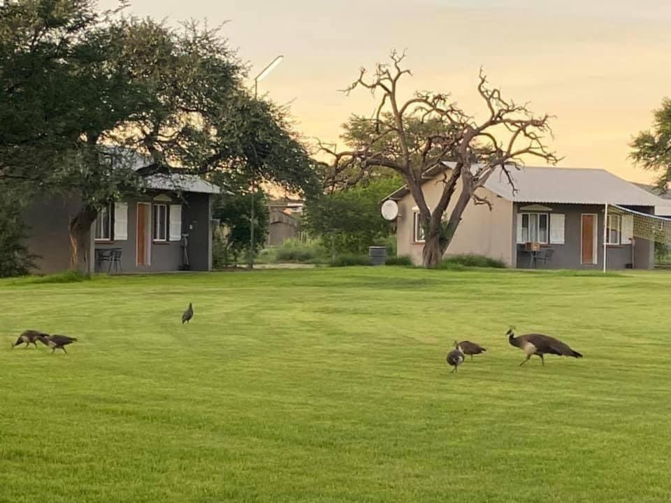 Out Of Nature Country Lodge Windhoek Esterno foto