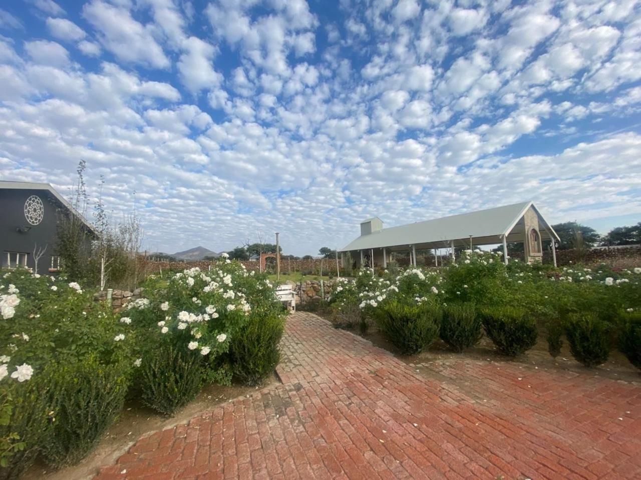 Out Of Nature Country Lodge Windhoek Esterno foto