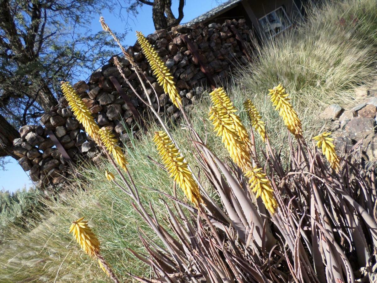 Out Of Nature Country Lodge Windhoek Esterno foto