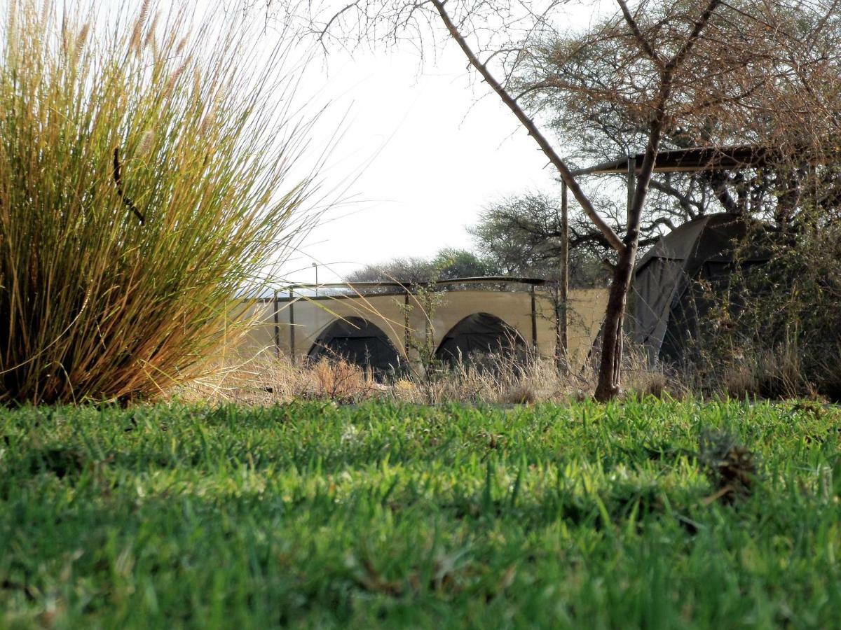 Out Of Nature Country Lodge Windhoek Esterno foto